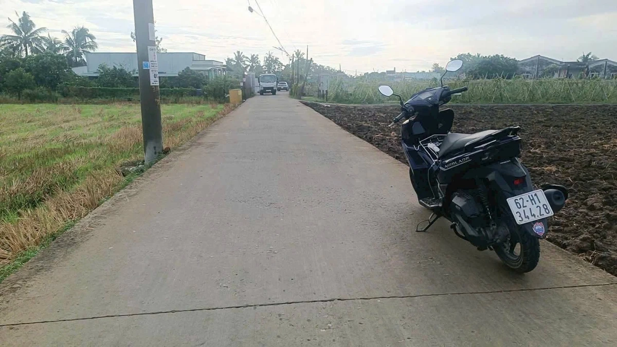 Bán nền đất 142.5m² mặt tiền Nguyễn Văn Thọ Tây Ninh 450 triệu - Ảnh thu nhỏ 2