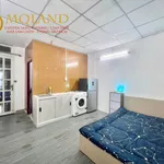 Cho thuê nhà hẻm xe hơi 2 mặt tiền, 8PN, 26 tr/tháng, Tân Bình - Ảnh thu nhỏ 1