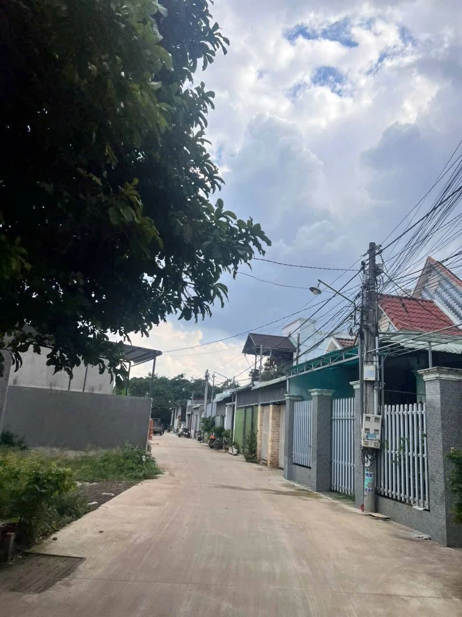 Bán đất nền Bàu Trâm Long Khánh 115m², sổ riêng 1 tỷ 290 triệu - Ảnh thu nhỏ 2