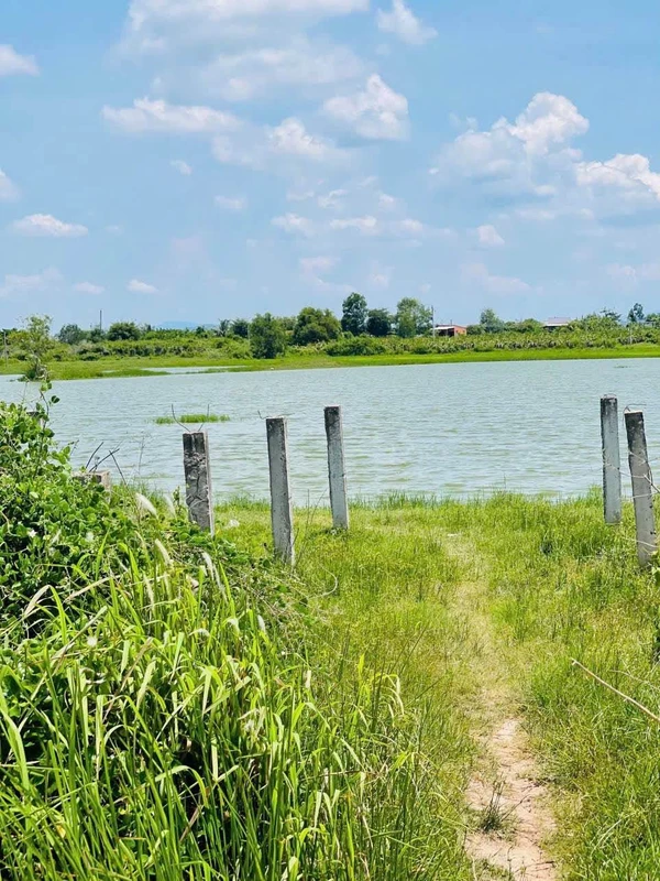 Bán đất 488m2 Thuận Thành Hàm Liêm Phan Thiết 450 triệu