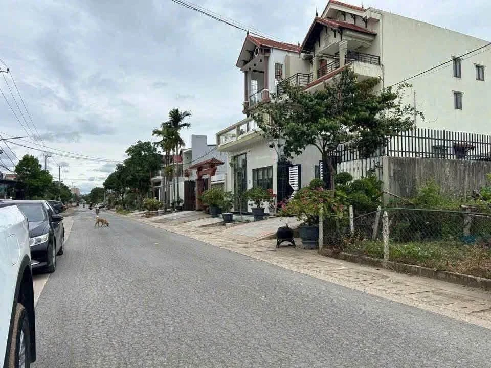Bán 2 thửa đất mặt tiền Phạm Hồng Thái Quảng Trị 219m2 1.6 tỷ - Ảnh 1