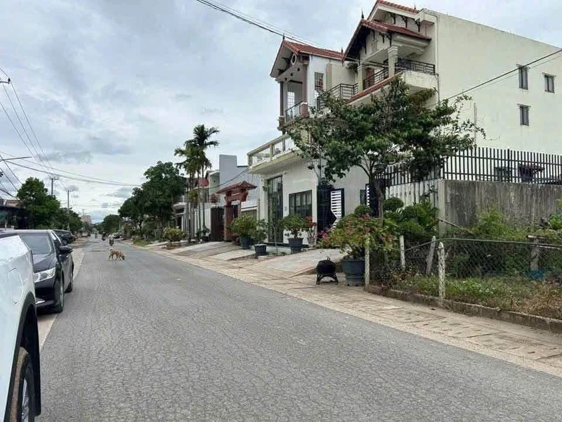 Bán 2 thửa đất mặt tiền Phạm Hồng Thái Quảng Trị 219m2 1.6 tỷ