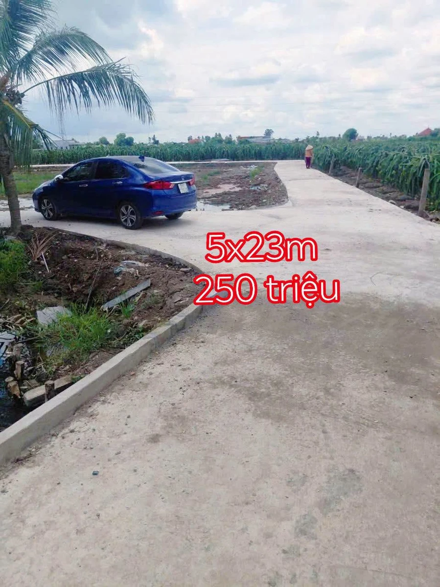 Bán đất thổ cư 115m² tại Châu Thành, Long An - 250 triệu - Ảnh thu nhỏ 2