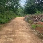 Bán nhanh 3,7ha đất vườn cao su và điều tại Phú Trung, Bình Phước - Ảnh thu nhỏ 3