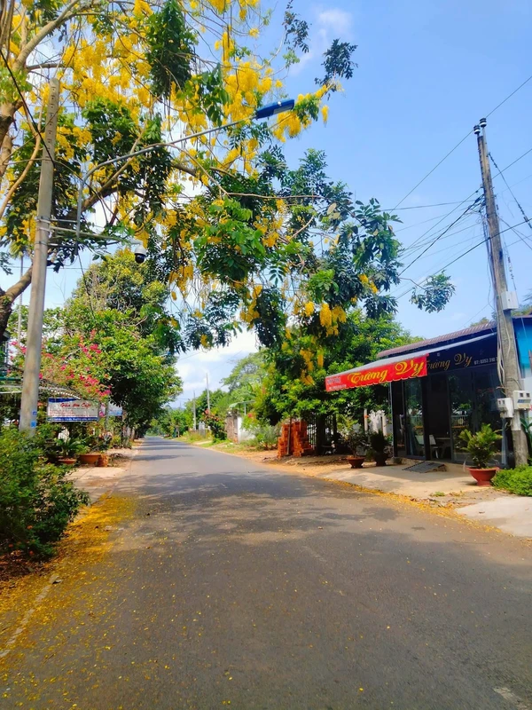 Bán đất 2 mặt tiền Đạm Ri, Lâm Đồng - 2,7 tỷ