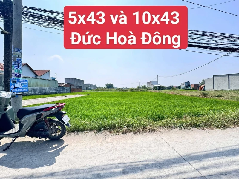 Bán đất Đức Hòa Đông 5x43m, 1 tỷ 190
