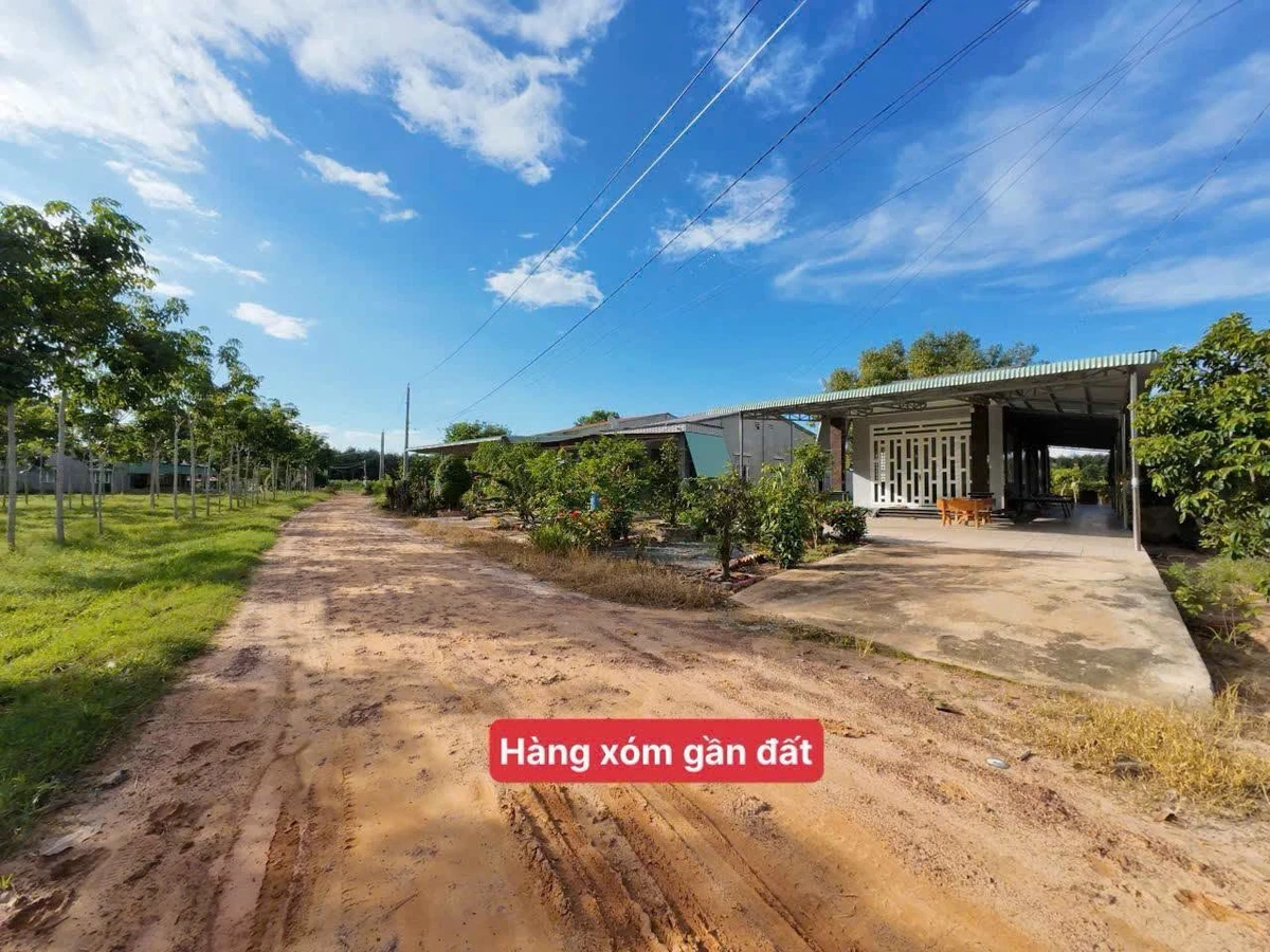 Bán đất Ninh Điền Châu Thành Tây Ninh 155m2, 139 triệu - Ảnh thu nhỏ 4