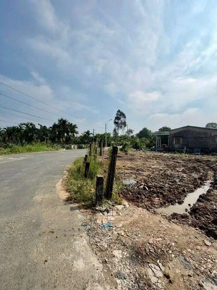 Bán đất nền mặt tiền Lê Văn Cảng 166,5m² - Tân An, Long An - Ảnh thu nhỏ 3