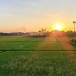 Hàng hiếm, view lúa mặt tiền Lê Thánh Tông, đất nở hậu, vị trí đẹp trong khu vực - Ảnh thu nhỏ 2
