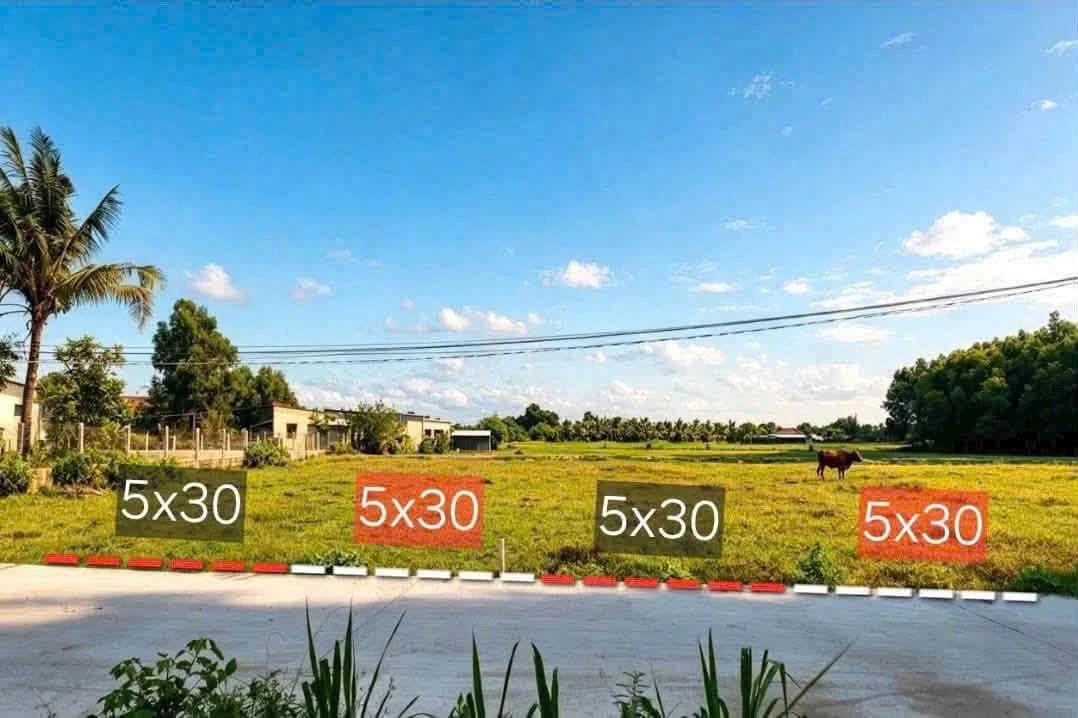 Bán nền đất 150m² Hậu Nghĩa, Củ Chi, 590 triệu - Ảnh thu nhỏ 4