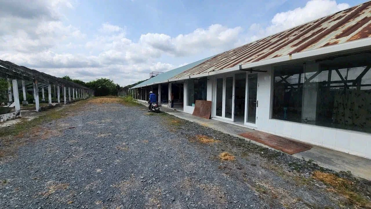 Bán đất 2.800m2 mặt đường Nhựa Gia, Long An, 16 tỷ - Ảnh thu nhỏ 4