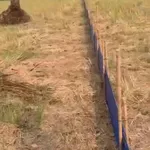 Bán đất lúa 38×47m Bến Lức Long An, sổ riêng 2.3 tỷ - Ảnh thu nhỏ 2