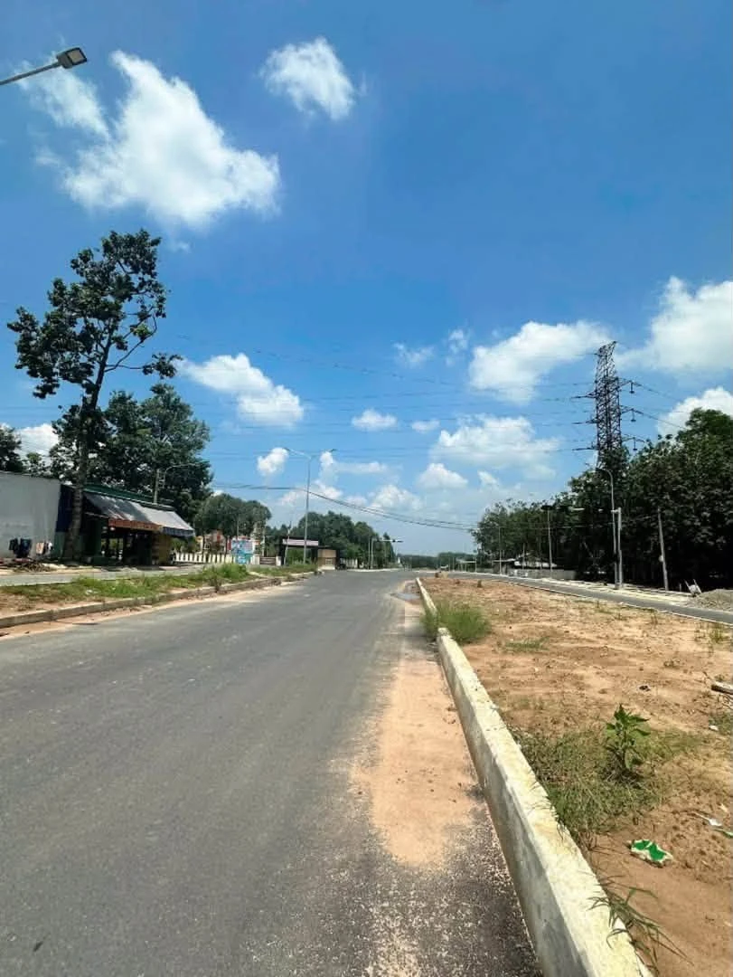 Bán lô đất 300m² mặt tiền đường Phường Long Nguyên, Bình Chánh - Ảnh thu nhỏ 2