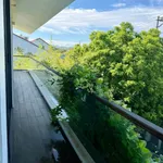 Cho thuê biệt thự vườn 800m2 Sư Vạn Hạnh Huế - Ảnh thu nhỏ 5