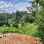 Bán 6.100m2 đất vườn sầu riêng view suối tại Hòa Thuận, Buôn Ma Thuột - Ảnh thu nhỏ 3