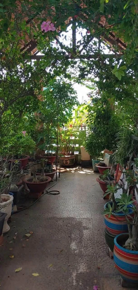 Bán nhà hẻm 4 tầng 5PN 59m² Lê Văn Sỹ Quận 3 - Ảnh thu nhỏ 4