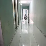Bán nhà cấp 4 61m² Hoàng Văn Thụ Vũng Tàu 5.6 tỷ - Ảnh thu nhỏ 3