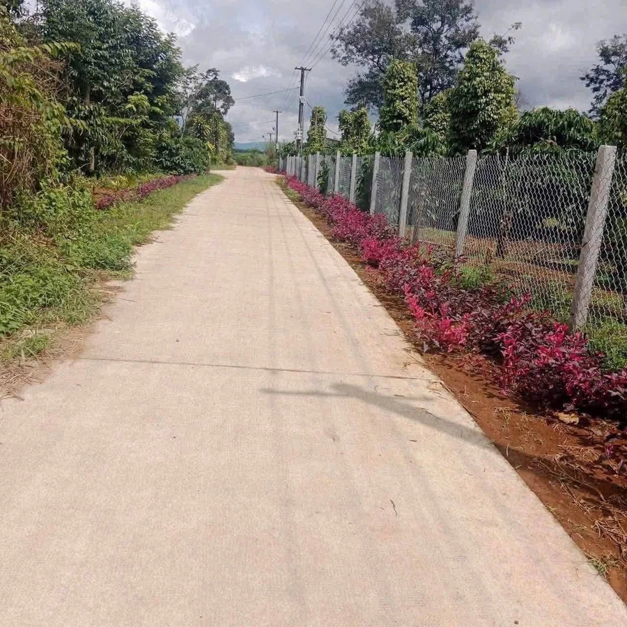 Bán lô đất nền Tân Bình 600m² - Ảnh thu nhỏ 3