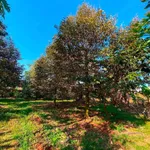 Bán đất 1850m2 vườn trái cây Suối Nghệ Hóc Môn - Ảnh thu nhỏ 1