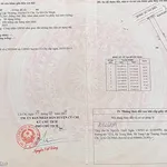 Bán đất mặt tiền nhựa Thái Mỹ, Củ Chi - 3.5 tỷ - Ảnh thu nhỏ 4