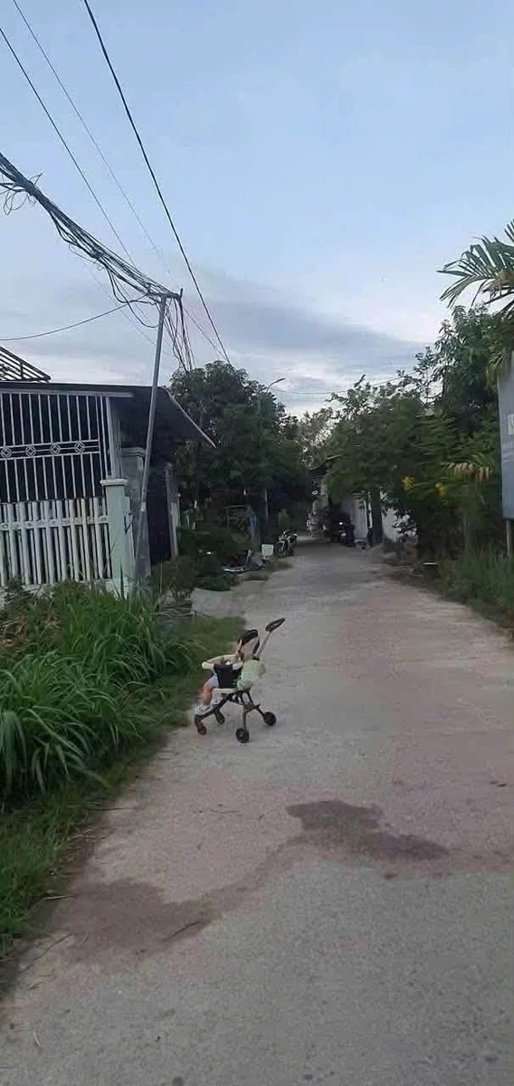 Bán lô đất 133m² hẻm Lê Quý Đôn, Quận 1 - Ảnh thu nhỏ 2