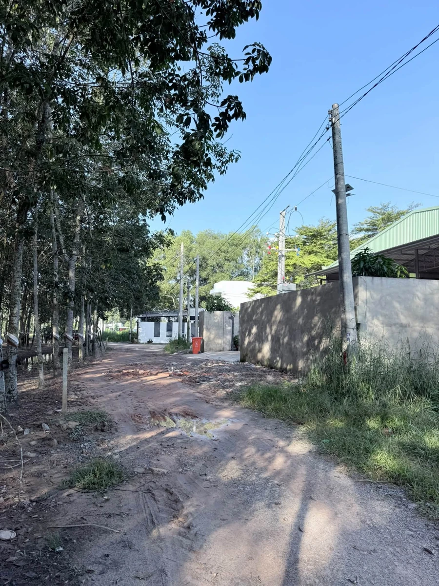 Bán đất Bình Mỹ 285m² 1.6 tỷ Tân Bình - Ảnh thu nhỏ 3