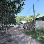 Bán đất Bình Mỹ 285m² 1.6 tỷ Tân Bình - Ảnh thu nhỏ 3