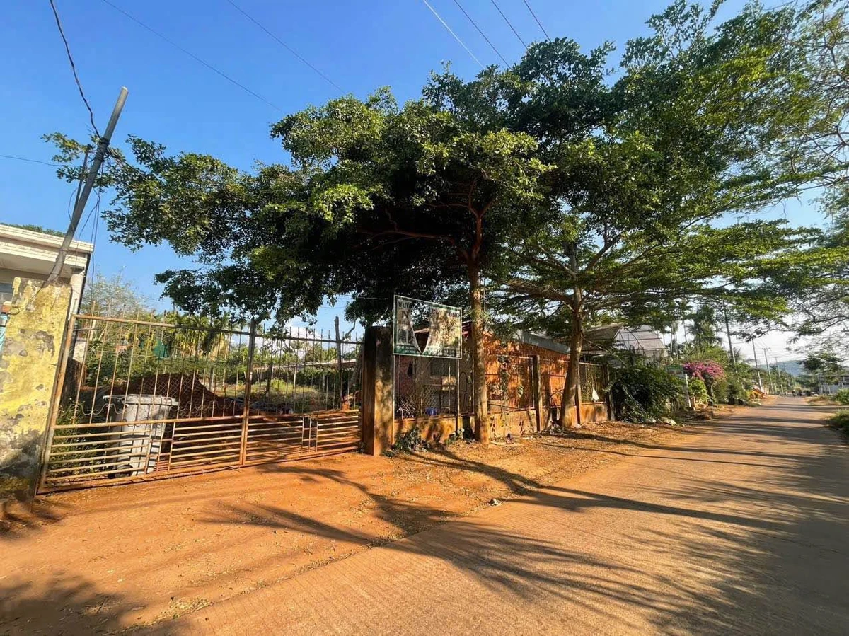 Bán đất 160m² đường Nguyễn Lương Băng, Bình Chánh 3 tỷ 290 triệu - Ảnh thu nhỏ 4
