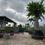 Bán đất vườn 978m² sổ riêng gần biển Phan Thiết - Ảnh thu nhỏ 2