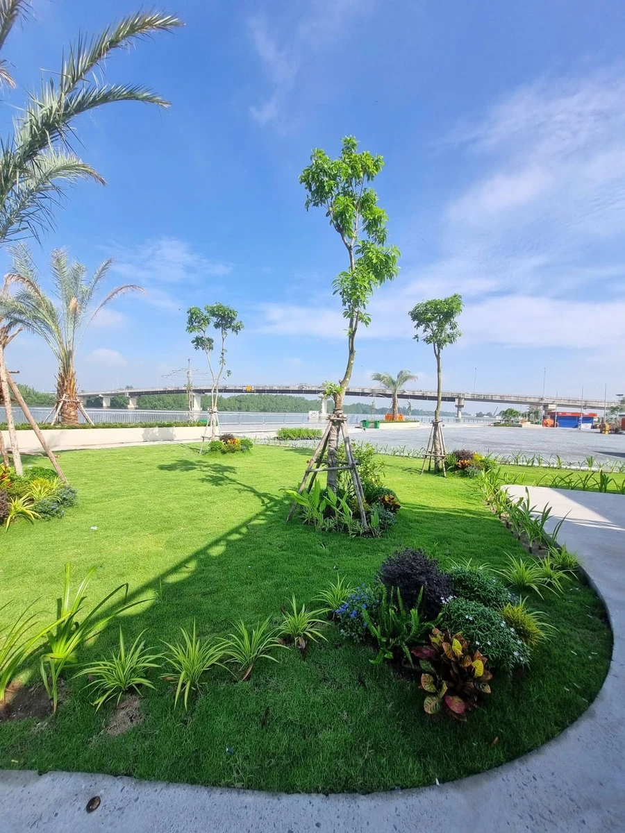 Bán đất nền An Phước Cần Giờ 80m² sổ hồng riêng - Ảnh thu nhỏ 2