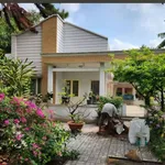 Bán nhà vườn 644m2, 3PN, mặt tiền đường nhựa, Phường An Bình, Dĩ An, giá 16,66 tỷ - Ảnh thu nhỏ 2