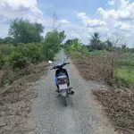 Bán 4007m2 đất vườn mặt tiền đường ôtô Tây Ninh 3 tỷ 2 - Ảnh thu nhỏ 3