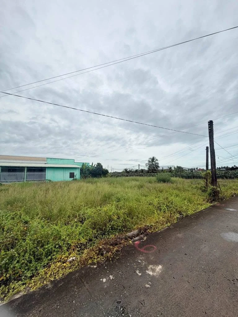 Bán đất thổ cư 130m² giá 309 triệu đường Bờ Sen, Tầm Vu, Tây Ninh - Ảnh thu nhỏ 3