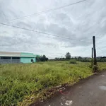 Bán đất thổ cư 130m² giá 309 triệu đường Bờ Sen, Tầm Vu, Tây Ninh - Ảnh thu nhỏ 3