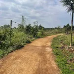 Bán đất Phú Xuân Krong Năng Đắk Lắk 79m2 - Ảnh thu nhỏ 2