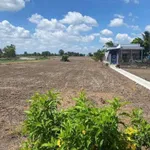 Bán 2000m² đất lúa 3 mặt tiền Phước Đông, Cần Dước - Ảnh thu nhỏ 4