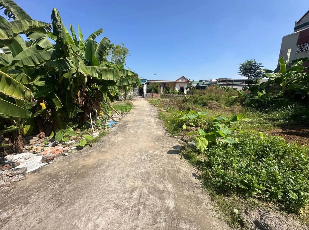 Bán đất Ninh Sơn 60-66m² mặt 4m giá 1 tỷ - Ảnh thu nhỏ 3