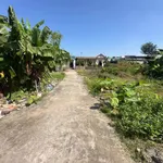 Bán đất Ninh Sơn 60-66m² mặt 4m giá 1 tỷ - Ảnh thu nhỏ 3