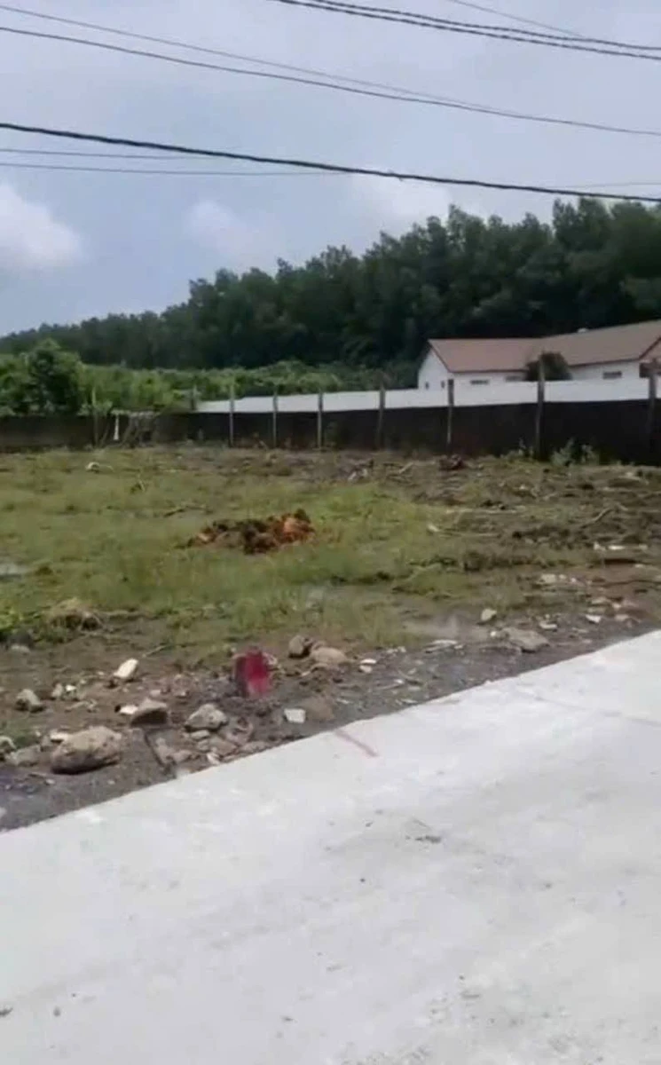 Bán lô góc 5,3x19m (100,7m²) 750 triệu Xã Tân An Đồng Nai - Ảnh thu nhỏ 4