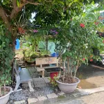 Bán đất 128m2 Đô Lương Vũng Tàu 10tr/m2 - Ảnh thu nhỏ 1