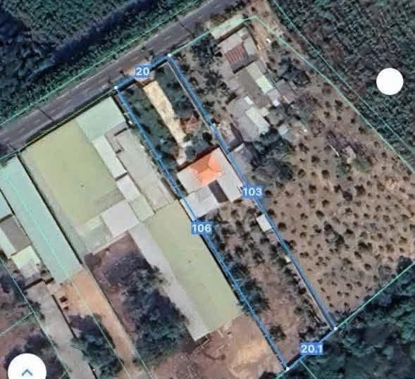 Bán đất vườn Xã Phước Hải 2070m2 gần biển - Ảnh 1