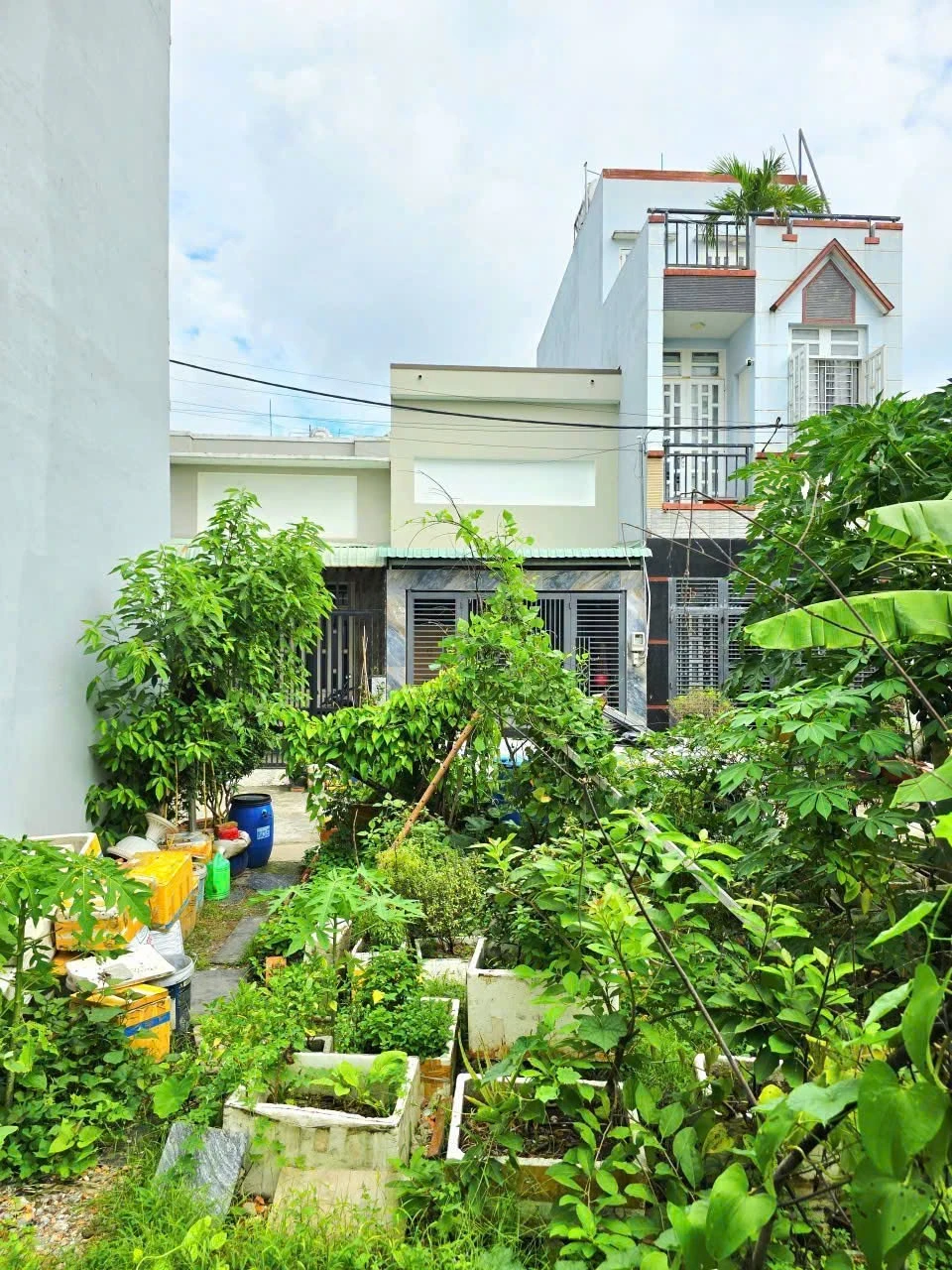 Bán đất nền 55m² Lãi Xuân Oai Hóc Môn 3.5 tỷ - Ảnh 1