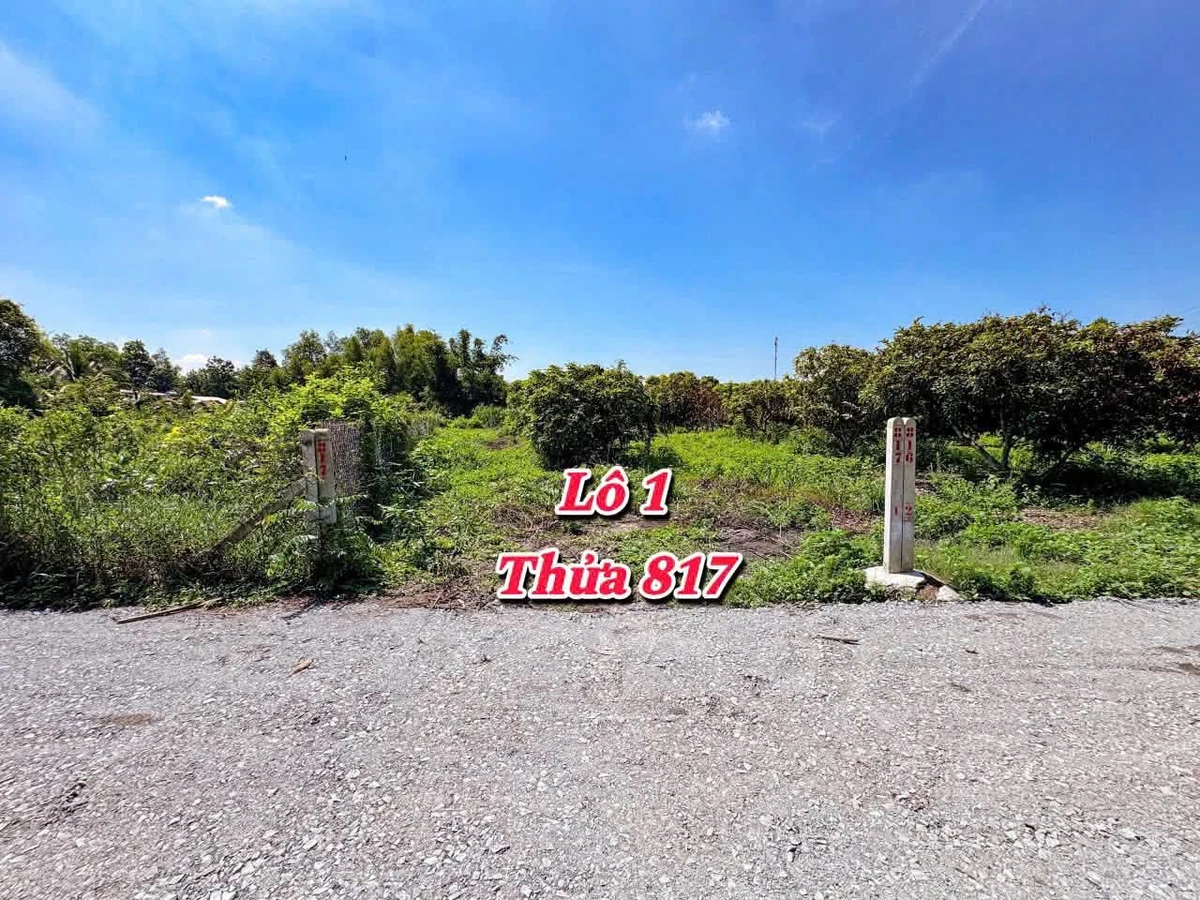 Bán đất thổ cư có nhãn Cầu Khởi 200m2 - 299 triệu - Ảnh thu nhỏ 5