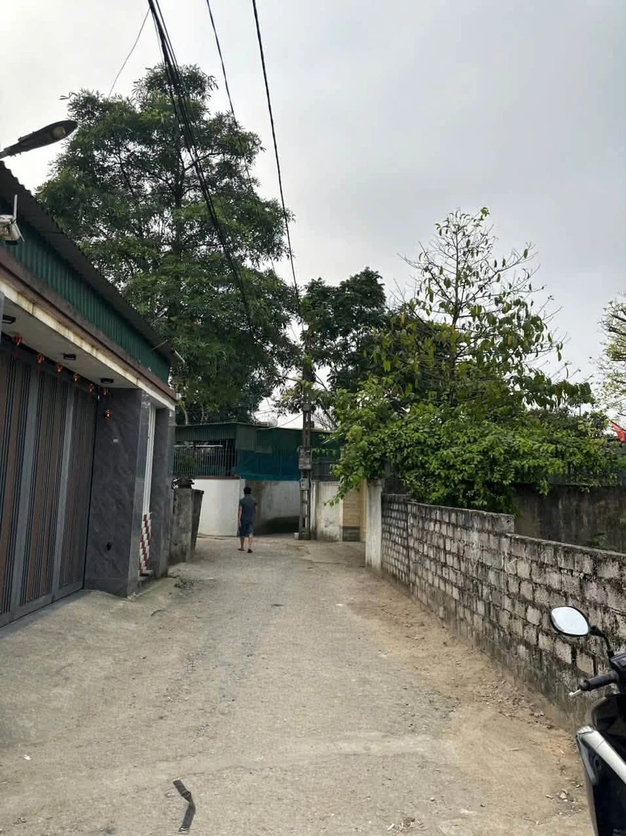 Bán đất 98.9m² đường Lê Viết Thuật, ngõ 333 - Ảnh thu nhỏ 2