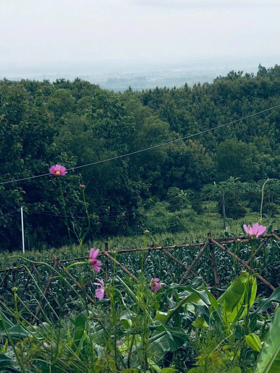 Bán đất vườn 1.000m² La Ngà, view sông núi, giá 575 triệu - Ảnh thu nhỏ 4