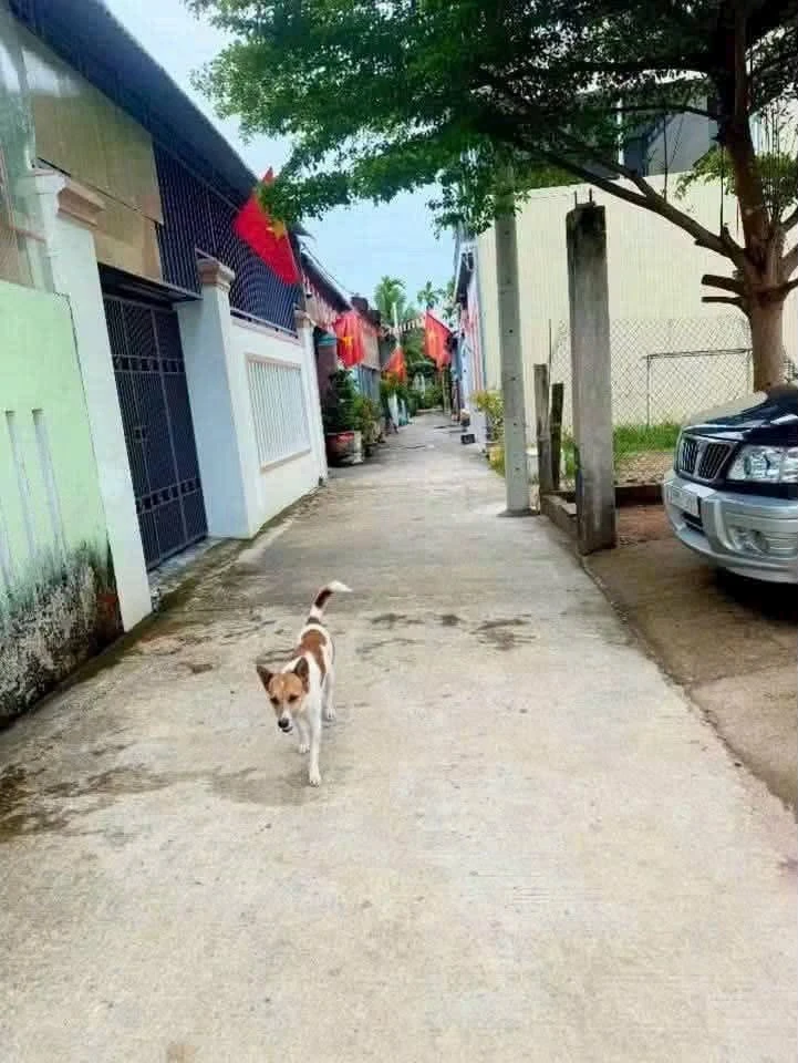 Bán đất hẻm Nguyễn Công Phương 147m2 ngang 14m - Ảnh 1