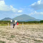 Bán đất Bình Minh 500m2, 285 triệu - Ảnh thu nhỏ 4