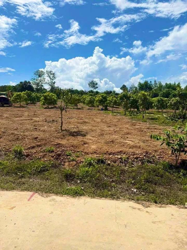 Bán nền đất 175m2, mặt tiền bê tông tại Định Quán, Đồng Nai