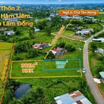 Bán đất 1200m2, 330m thổ cư, mặt tiền Phan Thiết - Ảnh thu nhỏ 1