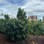 Bán đất 1ha Thôn Đoàn Kết Etan Krong Năng 7 tỷ 200 triệu - Ảnh thu nhỏ 1